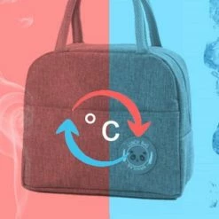 Marishop Koeltas - Lunchtas - Volwassenen En Kinderen - Compact & Handig: Zomer - Picknick -School - Lunch - Werk - Klassiek Grijs -CeLaVi winkel 550x342 1