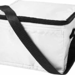 Koeltas - Mini Koeltas - Geschikt Voor 6 Blikjes - Compact Koeltas + 2 Koelelementen - Rheme -CeLaVi winkel 550x459 4